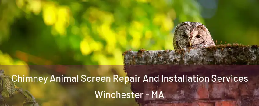  Chimney Animal Screen Repair And Installation Services Winchester - MA