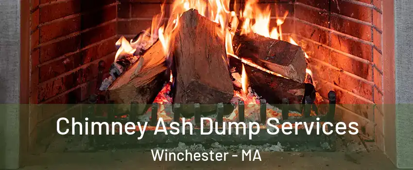  Chimney Ash Dump Services Winchester - MA