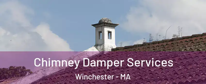  Chimney Damper Services Winchester - MA