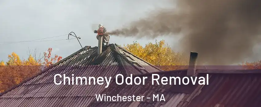  Chimney Odor Removal Winchester - MA