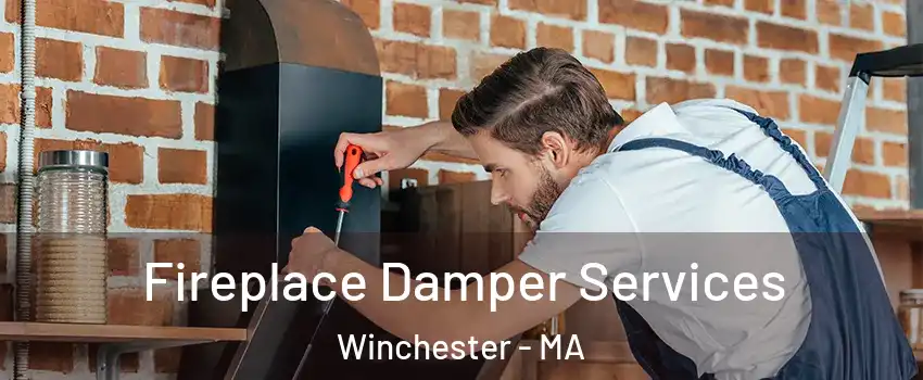  Fireplace Damper Services Winchester - MA