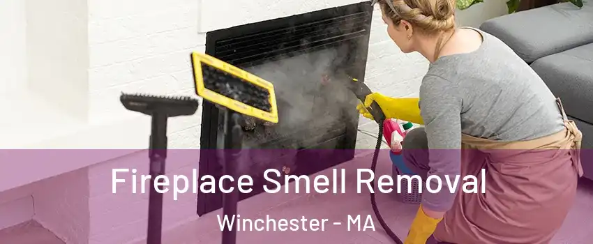  Fireplace Smell Removal Winchester - MA