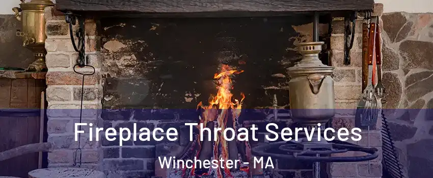  Fireplace Throat Services Winchester - MA