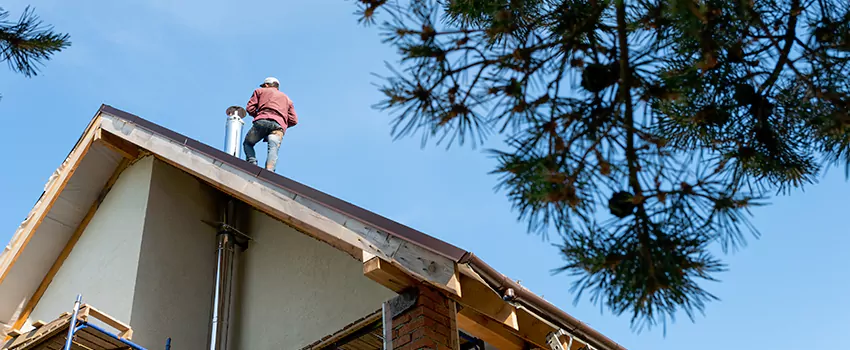 Birds Removal Contractors from Chimney in Winchester, MA