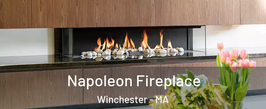  Napoleon Fireplace Winchester - MA